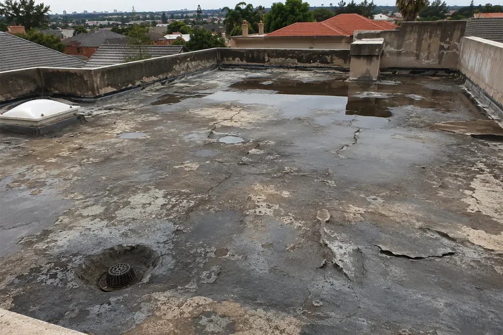 Flat roof waterproofing Johannesburg problem showing failed roof slab waterproofing with ponding water and cracked coating
