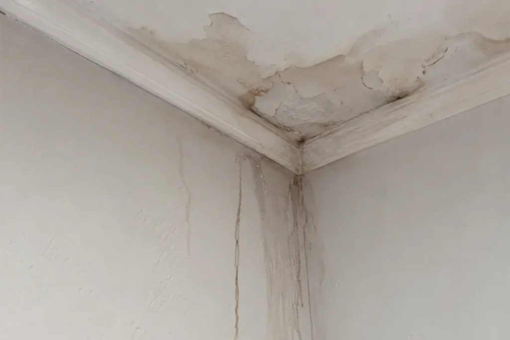 Roof leak waterproofing Johannesburg problem showing ceiling water damage, peeling paint and damp wall staining waterproofing contractor Johannesburg