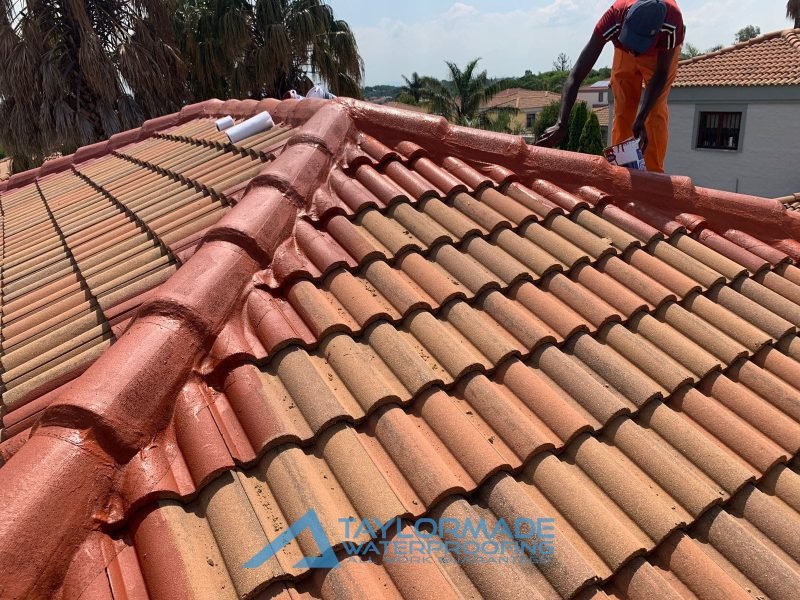 TM Waterproofing painting a tiled roof from the top of the structure.