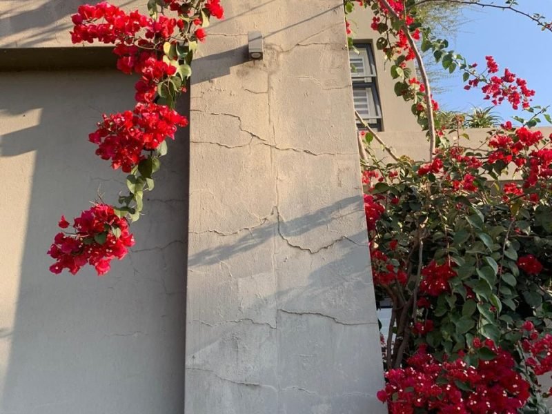 Wall showing visible cracks and damage in need of waterproofing and repair.
